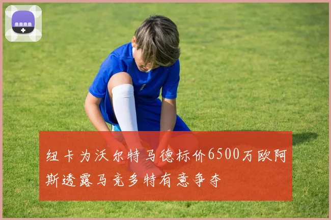 纽卡为沃尔特马德标价6500万欧阿斯透露马竞多特有意争夺